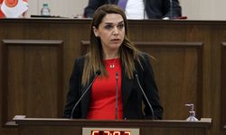 Kürşat: "Sokakta en çok konuşulan geçim derdi"