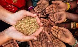 IMF küresel gıda krizinin finansal maliyetlerinin arttığı konusunda uyardı