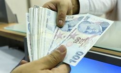 2022 yılı Doğrudan Gelir Desteği 1. avans ödemeleri yapıldı