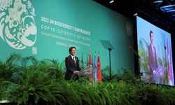 BM Biyolojik Çeşitlilik Konferansı Montreal'de başladı