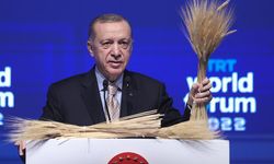 Erdoğan, tahıl krizini çözmek amacıyla Putin ve Zelenskiy ile görüşecek
