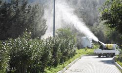 Girne Belediyesi halk ve hayvan sağlığını korumak için çam kese böceği ile mücadele ediyor