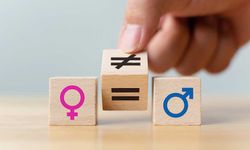Yasalardaki “cinsiyetçi maddelere” dokunuş