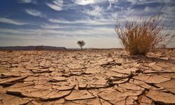 Meteoroloji Mühendisleri Odası,  Küresel ısınmanın olumsuz etkilerine değindi