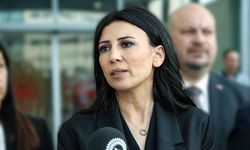 Özdenefe: "Kıbrıslı Türk, süt mamulleri üreticisinin PDO sertifikası almasını memnuniyetle karşılıyorum"