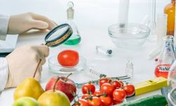 Gıda denetim sonuçları… Bir yerli üründe limit üstü bitki koruma ürünü tespit edildi