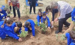 Girne Liman Rotary Kulübü “tozlayıcı” projesi devam ediyor