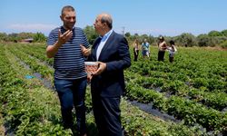 Cumhurbaşkanı Tatar, Güzelyurt Sanayi Bölgesi ve Yeşilırmak bölgesini ziyaret etti