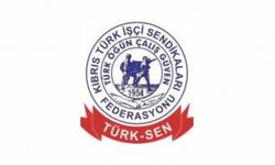 Türk-Sen Dr. Tuğcu’ya yapılan saldırıyı kınadı