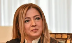 Yüksek Yönetim Denetçisi Varol, şikayete 30 gün içerisinde cevap vermeyen Çevre Koruma Dairesi ve LTB'yi kusurlu buldu
