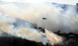 Hatay, Mersin, Adana ve Çanakkale’de orman yangını