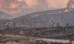 Güney Kıbrıs Limasol yangının maliyeti