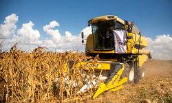 TİKA ile Devlet Üretme Çiftlikleri “Yemlik Dane Mısır Üretim Projesi” kapsamında hasat yapıldı