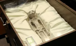 'Uzaylı fosilleri' Meksika parlamentosunda
