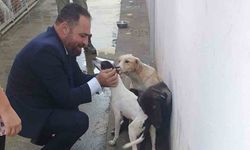 Tarım ve Doğal Kaynaklar Bakanı Çavuş, Güzelyurt Belediyesi Hayvan Rehabilitasyon Merkezi’ni ziyaret etti