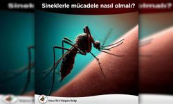 KTTB, sineklerle mücadelede ilaç kullanımı konusunda uyardı