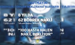 Dr. Burhan Nalbantoğlu Hastanesi'nde iki başaralı böbrek nakli operasyonu daha yapıldı