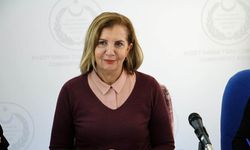 Ekonomi, Maliye, Bütçe ve Plan Komitesi, “Kuzey Kıbrıs Muhasebe ve Denetim Meslek Yasa Tasarısı”nı görüştü