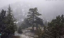 Trodos'ta yoğun kar yağışı... Rum Meteorolojiden sarı alarm