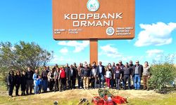 Koopbank çalışanları, Koopbank Ormanı’na fidan dikti