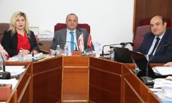 İstatistik Kurumuyla ilgili Meclis komitesi Başkan Demir'i dinledi