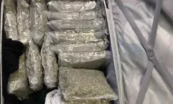 Güney'de sahipsiz bir valizde yaklaşık 17 kilo uyuşturucu çıktı