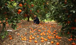 Gulamkadir: “Üretimi geliştirmeye kararlıyız”