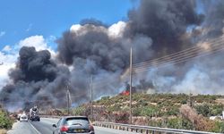 Limasol'da cuma günü çıkan yangınların nedeni kundaklama