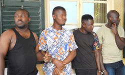 Kaçak Zanlılar Tutuklanarak, Mahkemeye Çıkarıldı