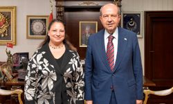 Cumhurbaşkanı Tatar, yeni atanan temsilcileri kabul etti