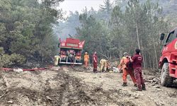 Bolu'da ormanlık alanda çıkan yangına 71 saattir müdahale ediliyor