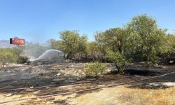 Lefkoşa-Girne ana yolunda yangın… Ağaçlar zarar gördü