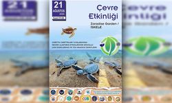 İskele sahilinde bugün caretta carettalar denize bırakılıyor