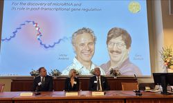 2024 Nobel Tıp Ödülü "microRNA keşfinden" dolayı ABD'li Victor Ambros ve Gary Ruvkun'a verildi