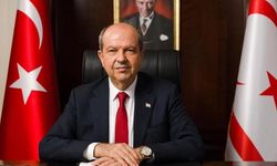 Tatar’dan öldürülen eşeklere ilişkin açıklama: “Olayın akıbetinin yakinen takipçisi olacağım”