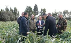 Tarım ve Doğal Kaynaklar Bakanı Çavuş, Mormenekşe üreticileri ile bir araya geldi