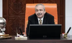 Sırrı Süreyya Önder TBMM Genel Kurulu'nda düzenlenecek törenle anılacak