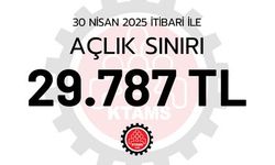 KTAMS Nisan ayı açlık sınırını 29 bin 787 TL olarak açıkladı