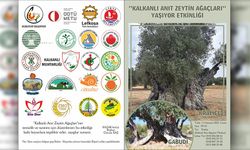 “Kalkanlı Anıt Zeytin Ağaçları Yaşıyor” etkinliği 13 Haziran Cuma günü düzenlenecek