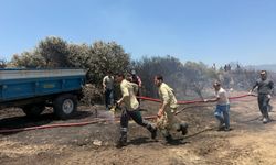 İzmir'de orman yangınına müdahale ediliyor