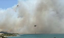 İzmir'de çıkan orman yangınına müdahale ediliyor