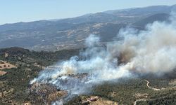 Türkiye’de orman yangınlarına havadan ve karadan müdahale ediliyor