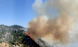 Mersin'de orman yangını çıktı