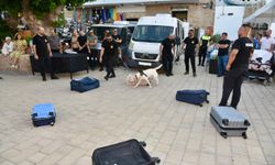 Suçluların korkulu rüyası "süper burun" dedektör köpekler her an göreve hazır…