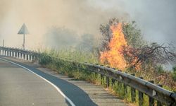 Limasol bölgesinde yeniden canlanan yangını söndürme çalışmaları sürüyor...Bir yangın da Arodez'de ...