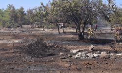 Esentepe-Karaağaç arasındaki yangında 10 dönümlük alanda bulunan çam ve harnup ağaçları ile maki bitki örtüsü yandı