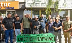 Hayvan üreticileri, Tarım ve Doğal Kaynaklar Bakanlığı önünde tabutlu eylem yaptı