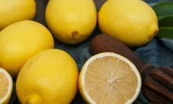 Gümrüksüz 2 bin 298 kilo limon ve 146 kilo salatalık ele geçirildi