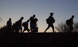 Ara bölgede mahsur kalan sığınmacılar AİHM’ye başvuruyor