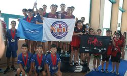Yüzmenin Yıldızları Olimpik Havuzda Parladı!